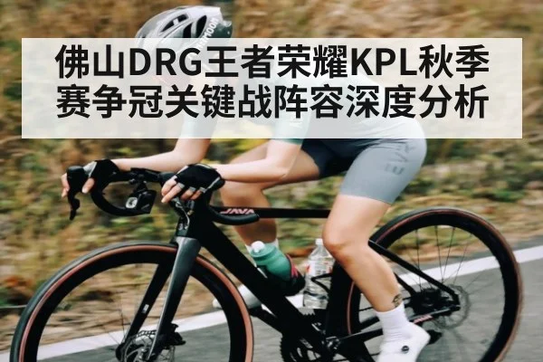 佛山DRG王者荣耀KPL秋季赛争冠关键战阵容深度分析
